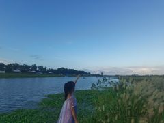 -春花秋色城市公园