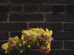 -世记咖啡(氹仔外卖店)