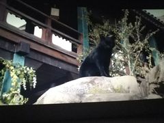 -天幕新彩云国际影城(激光巨幕店)