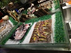 -欢乐牧场(T12店)