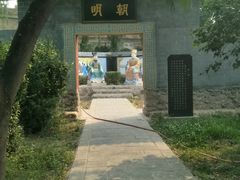 -东方巨龟苑景区