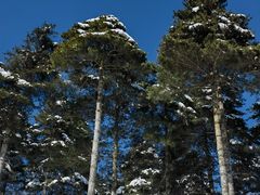 -洛阳白云山景区