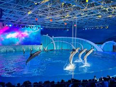 -海合安青岛极地海洋公园