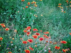 -敕勒川草原文化旅游区
