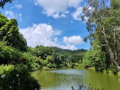 -深圳仙湖植物园