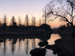 -九科绿洲