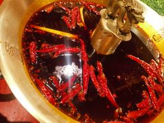 -小龙翻大江文化火锅(宽窄店)