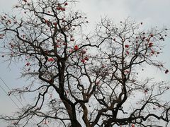 -井塘古村