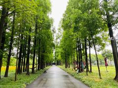 -歌斐颂巧克力小镇