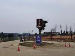 -空港花田景区