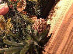 -Bco豆库(星耀天地店)