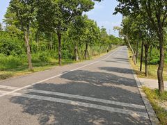 -广富林郊野公园