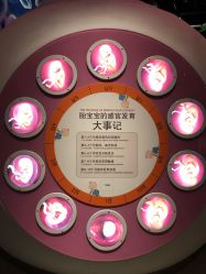 -北京科学中心儿童乐园