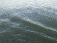 -澳门环岛游湾仔码头