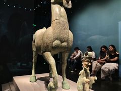 -广西壮族自治区博物馆