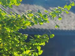 -大妙火锅·非物质文化遗产(东湖公园店)