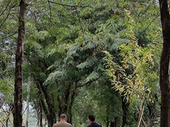 -南国桃园旅游度假区