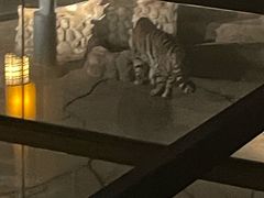 -南京汤山紫清湖生态旅游温泉度假区