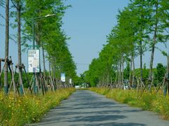 -嘉北郊野公园