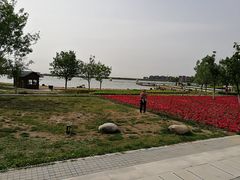 -武清南湖绿博园