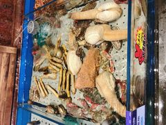 -开海·红岛海鲜虾水饺(石老人店)