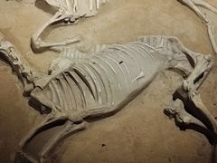 -洛阳周王城天子驾六博物馆