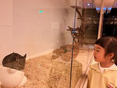-宁波九龙湖开元度假村