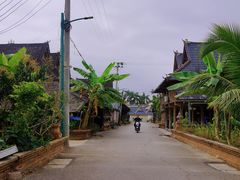 -西双版纳傣族园