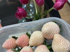 -尚田草莓姑娘白草莓采摘基地