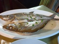 清蒸白丝鱼-沈厅酒家(周庄店)
