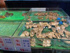 水产区-广东道至正餐厅(区庄店)