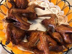 -百利鸽王(紫薇路店)