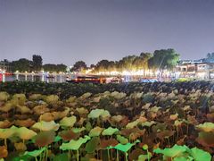 -小王府(什刹海店)