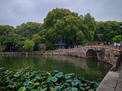 -楼外楼(西湖景区孤山路店)