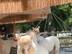 -珠海海泉湾神秘岛亲子乐园