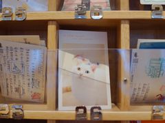 -猫的天空之城概念书店(北戴河蔚蓝海岸店)