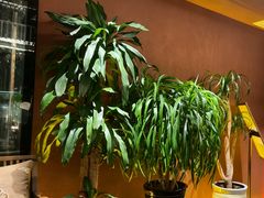 -隐炉和牛烧肉店(群力店)