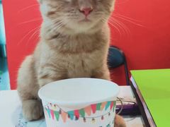 -爱乐蒙艺术·古筝 钢琴 声乐(科华校区)