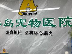 -半岛宠物医院24小时(白果林店)