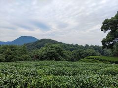 -西湖风景区十里琅珰-五云山