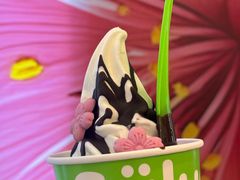 -Salud撒露欧洲冻酸奶(蓝色港湾店)