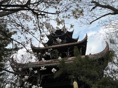-望江楼公园