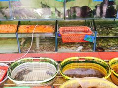 -红海湾豪记海鲜大排档