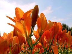 -长春公园(普阳街道)