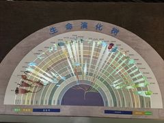 -安徽省地质博物馆