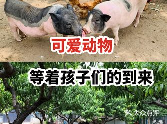 可爱动物等着孩子们的到来