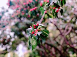 -红人馆造型世爵国际