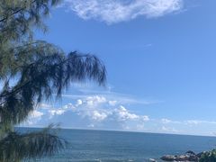 -广东惠东海龟国家级自然保护区