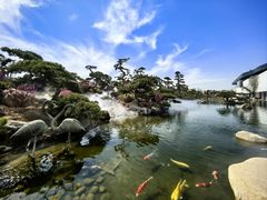 -罗红摄影艺术馆