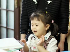 -咖咖熊蛋糕定制·蓝风车动物奶油